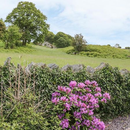 Villa Penrhyddion Ucha Capel Garmon Esterno foto